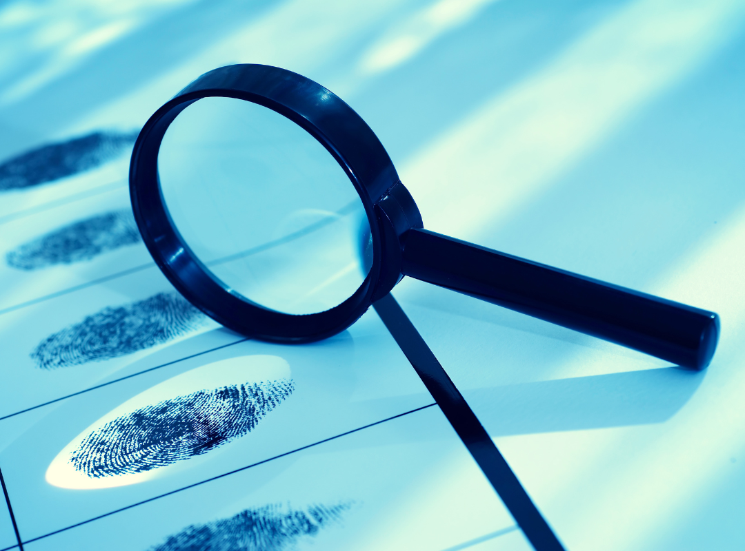 Criminal Investigation DX (CIDX)